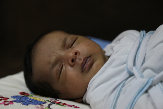 محمد رياض القلاف