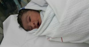 حوراء ميثم قمبر